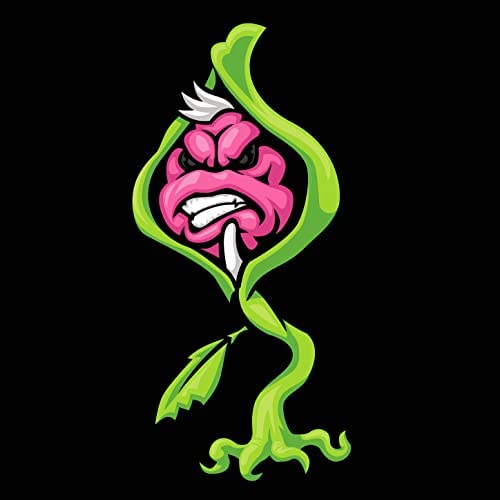 ICP - Wicked Vic The Weed CD