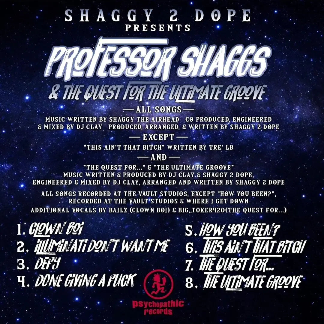 Shaggy 2 Dope - Professor Shaggs & The Quest For The Ultimate Groove